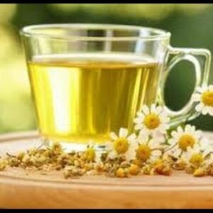 Best Teas For FAST Weight Loss Under $10